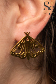 حلق فراشة ليزر 