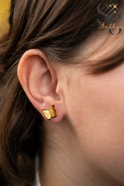 حلق فراشة فتافيت السكر وسط